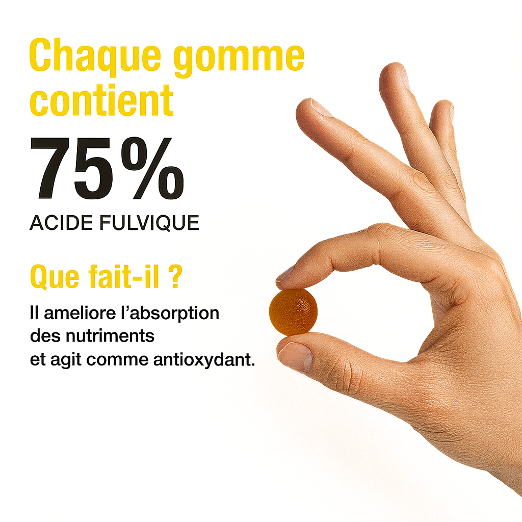 Shilajit Gold Gummies – Énergie & Vitalité Naturelle (60 gummies)